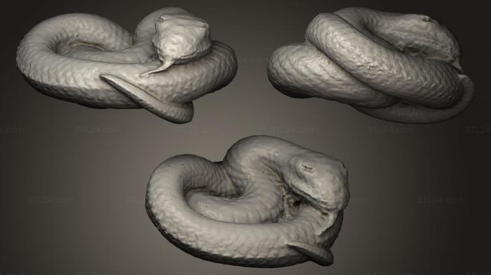 Статуэтки животных (Свернувшаяся змея, STKJ_0200) 3D модель для ЧПУ станка